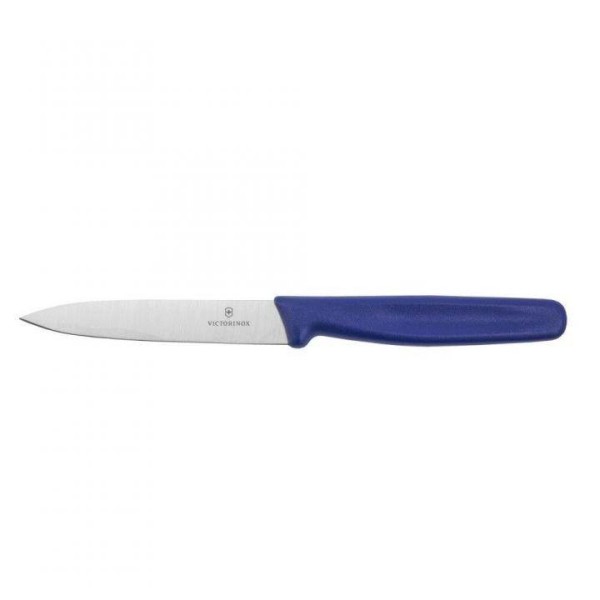 Victorinox Standard Gemüsemesser & Obstmesser, blau, Mittelspitz, 10 cm, 5.0702